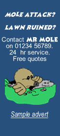 Mr Mole demo advert